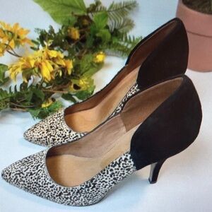 Leopard Print Pointed-Toe Pumps in Black and Cream